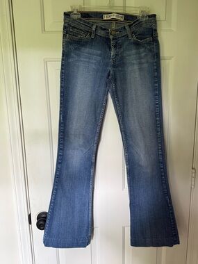 Express Wide Leg Jeans in Light Blue Wash